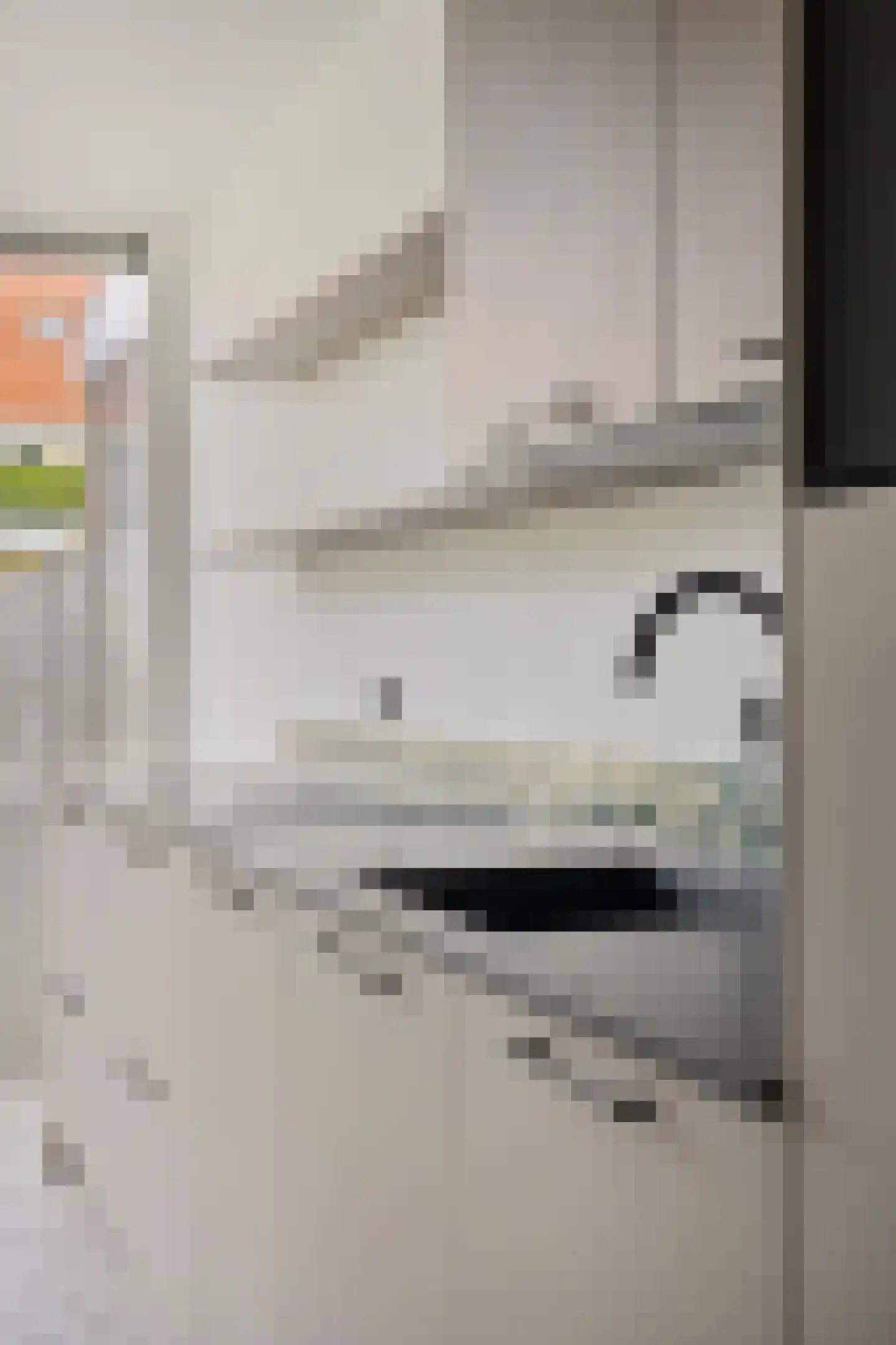 Ganzebloemstraat 13 Eindhoven thumbnail 24