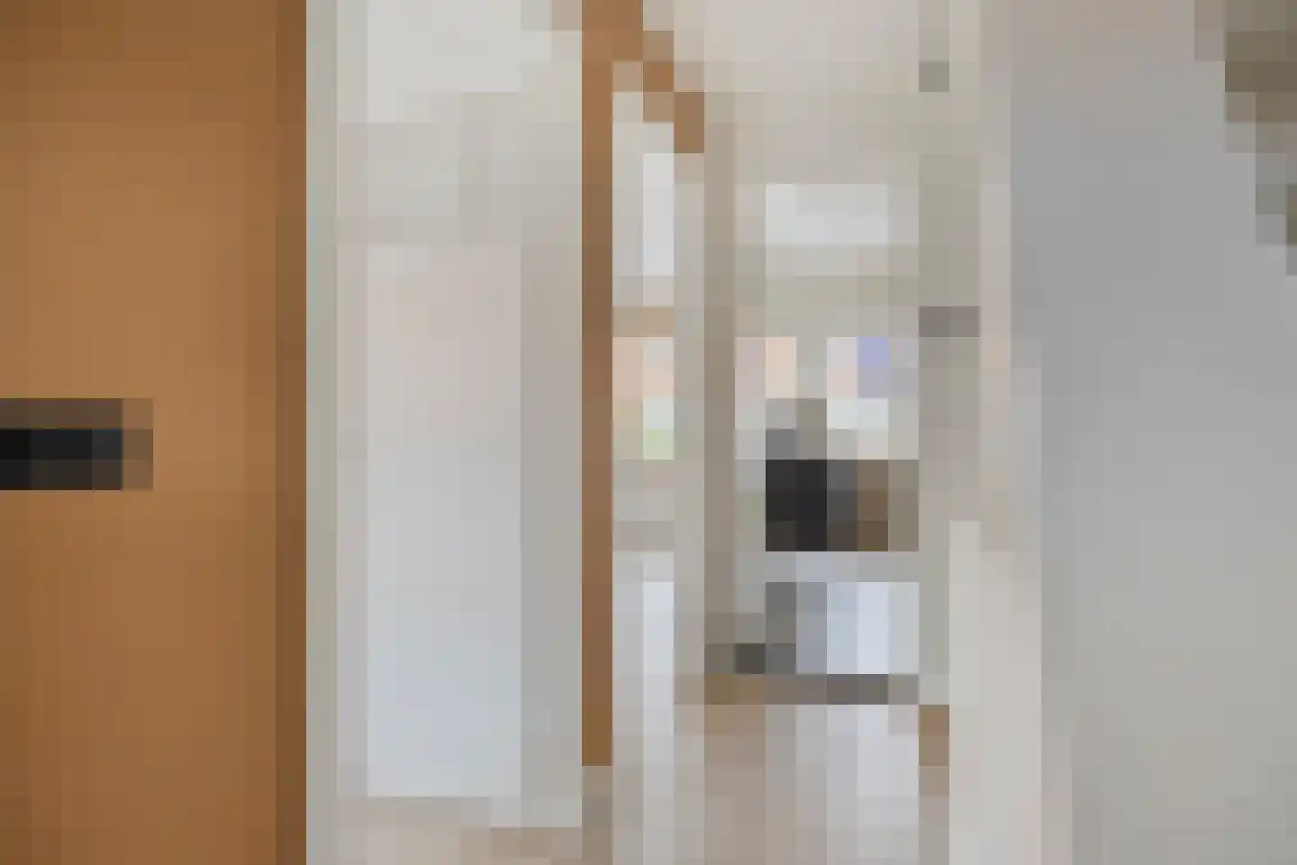 Ganzebloemstraat 13 Eindhoven thumbnail 25