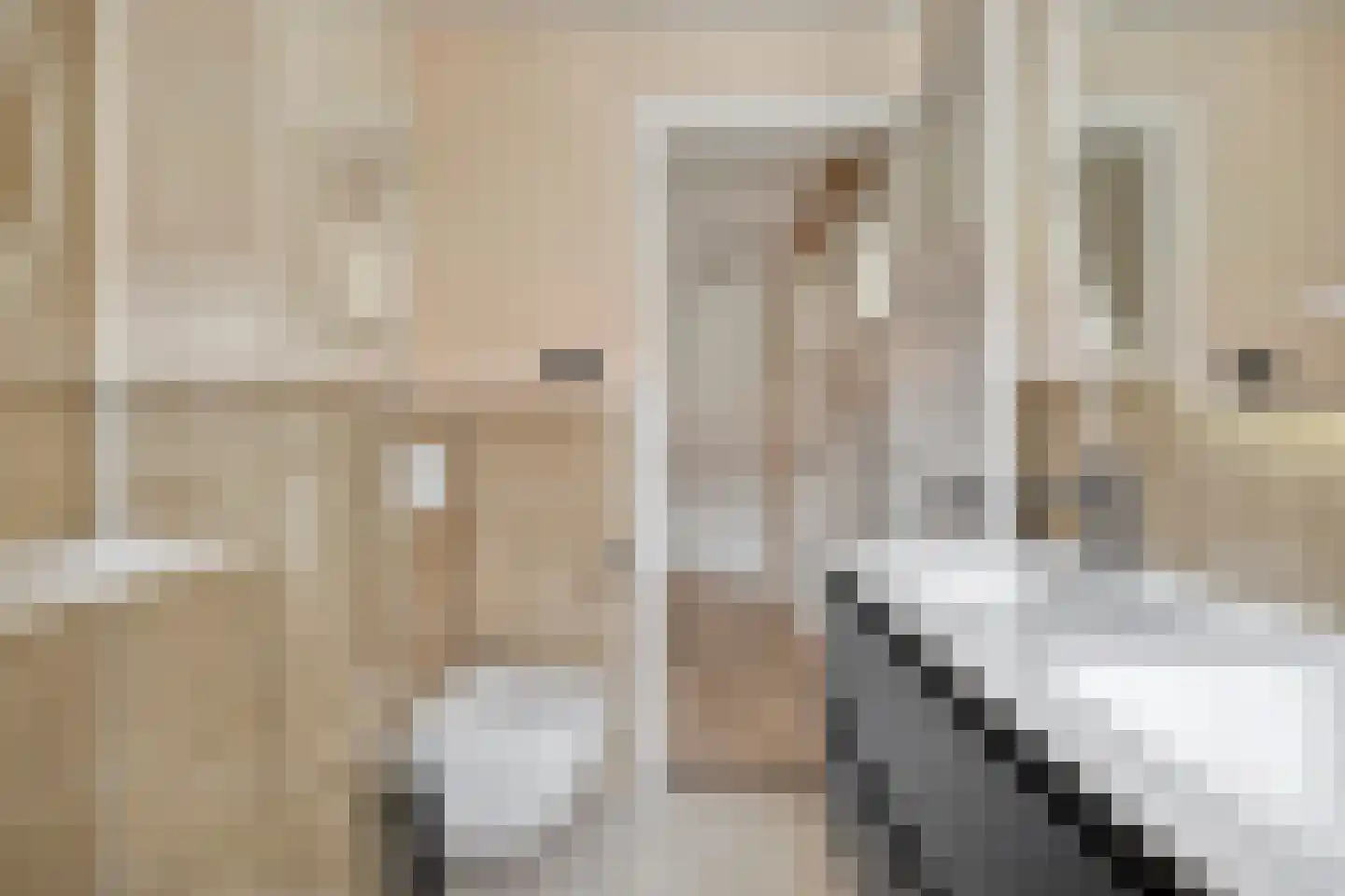 Ganzebloemstraat 13 Eindhoven thumbnail 29