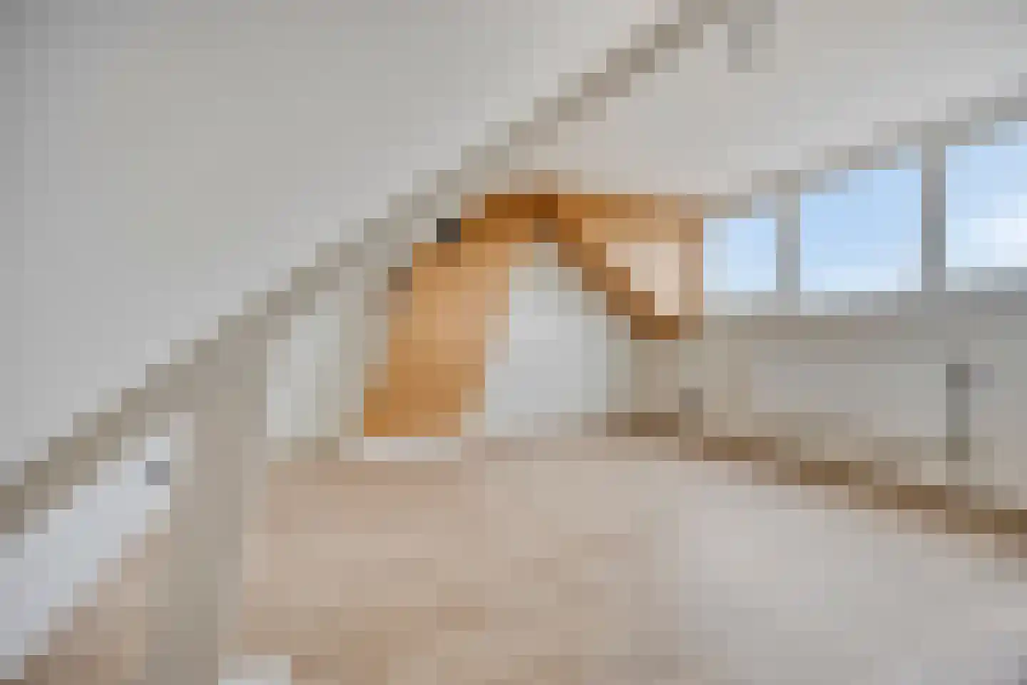 Ganzebloemstraat 13 Eindhoven thumbnail 36
