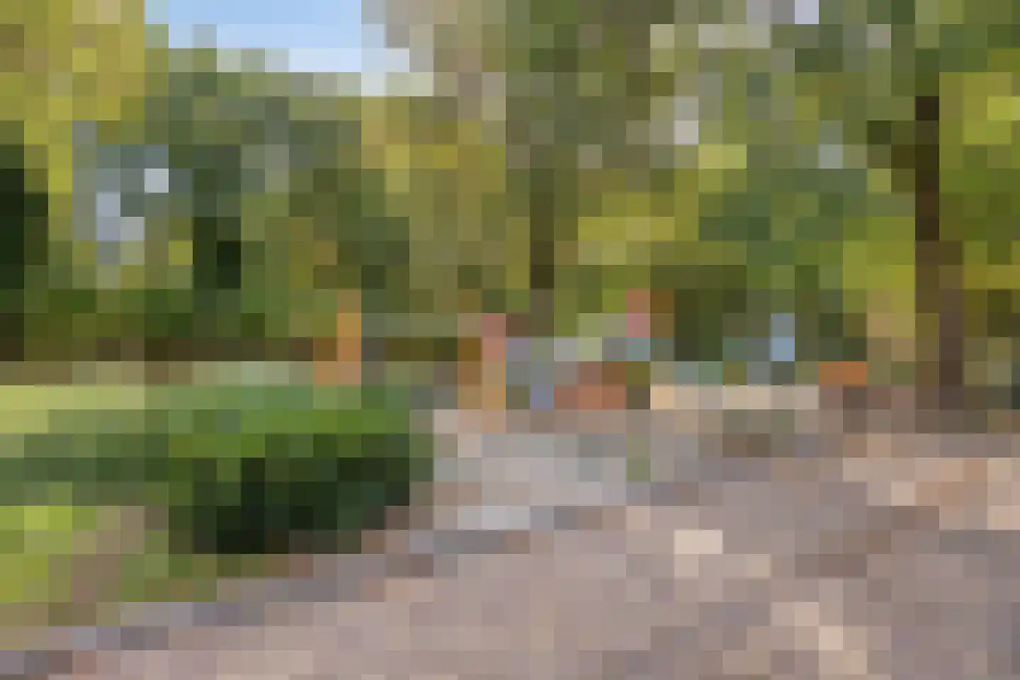 Ganzebloemstraat 13 Eindhoven thumbnail 45
