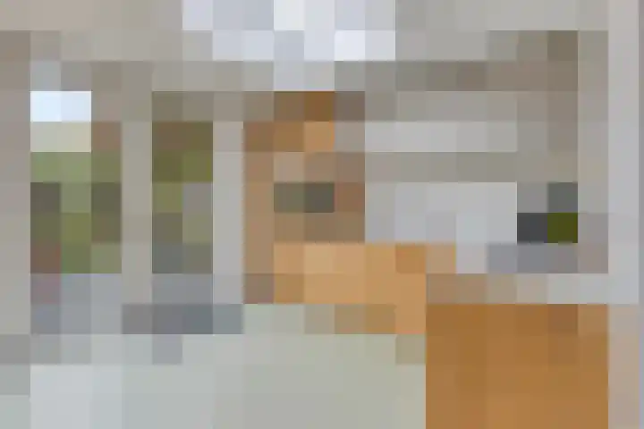 Ganzebloemstraat 18 Eindhoven thumbnail 19