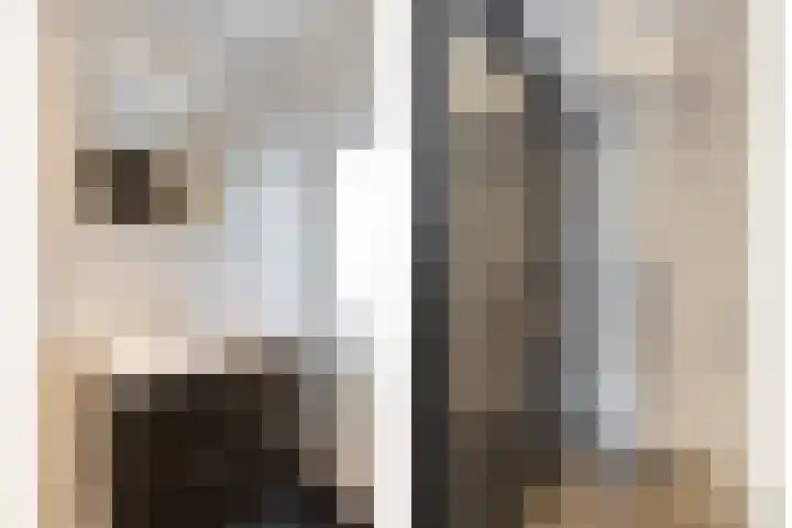 Ganzebloemstraat 18 Eindhoven thumbnail 21