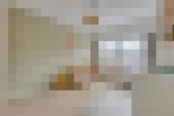 Ganzebloemstraat 18 Eindhoven thumbnail 22