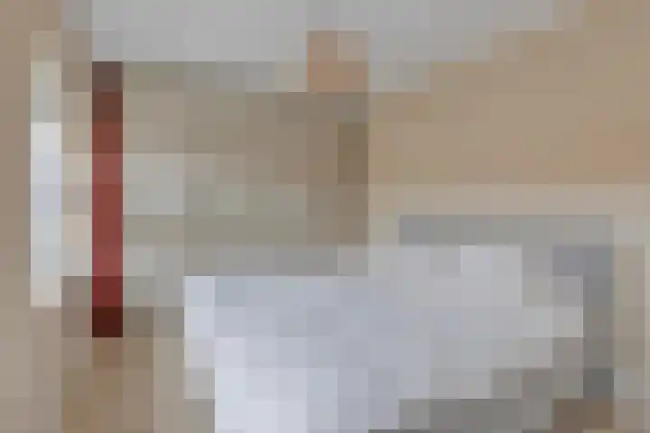 Ganzebloemstraat 18 Eindhoven thumbnail 24