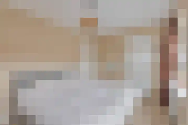 Ganzebloemstraat 18 Eindhoven thumbnail 25