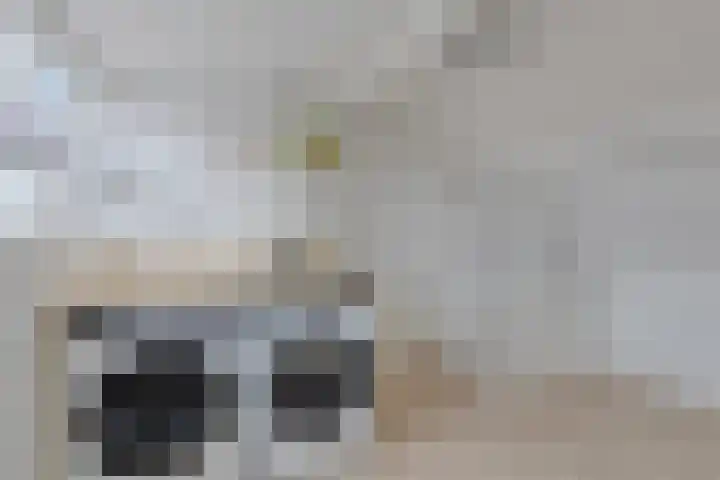 Ganzebloemstraat 18 Eindhoven thumbnail 26