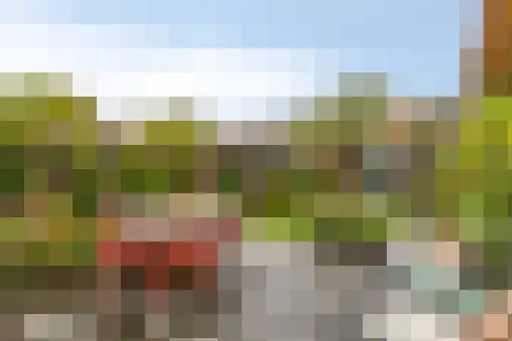 Ganzebloemstraat 18 Eindhoven thumbnail 29