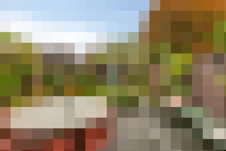 Ganzebloemstraat 18 Eindhoven thumbnail 30