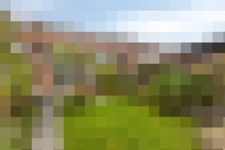 Ganzebloemstraat 18 Eindhoven thumbnail 33