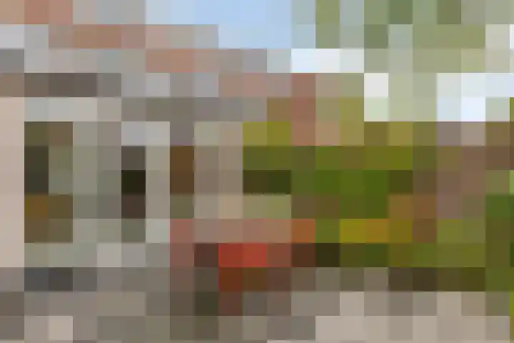 Ganzebloemstraat 18 Eindhoven thumbnail 34