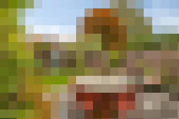 Ganzebloemstraat 18 Eindhoven thumbnail 5