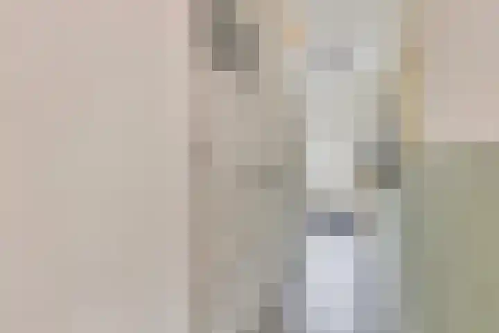 Ganzebloemstraat 18 Eindhoven thumbnail 6