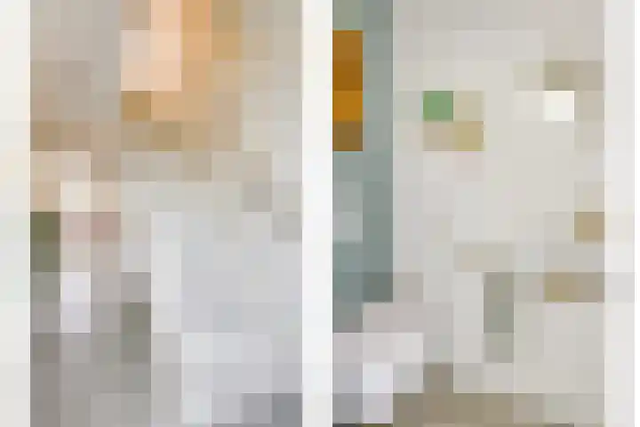 Ganzebloemstraat 18 Eindhoven thumbnail 7