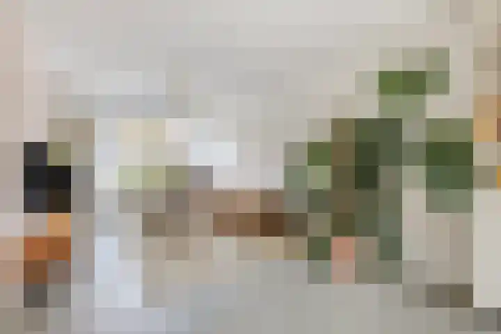 Ganzebloemstraat 18 Eindhoven thumbnail 9