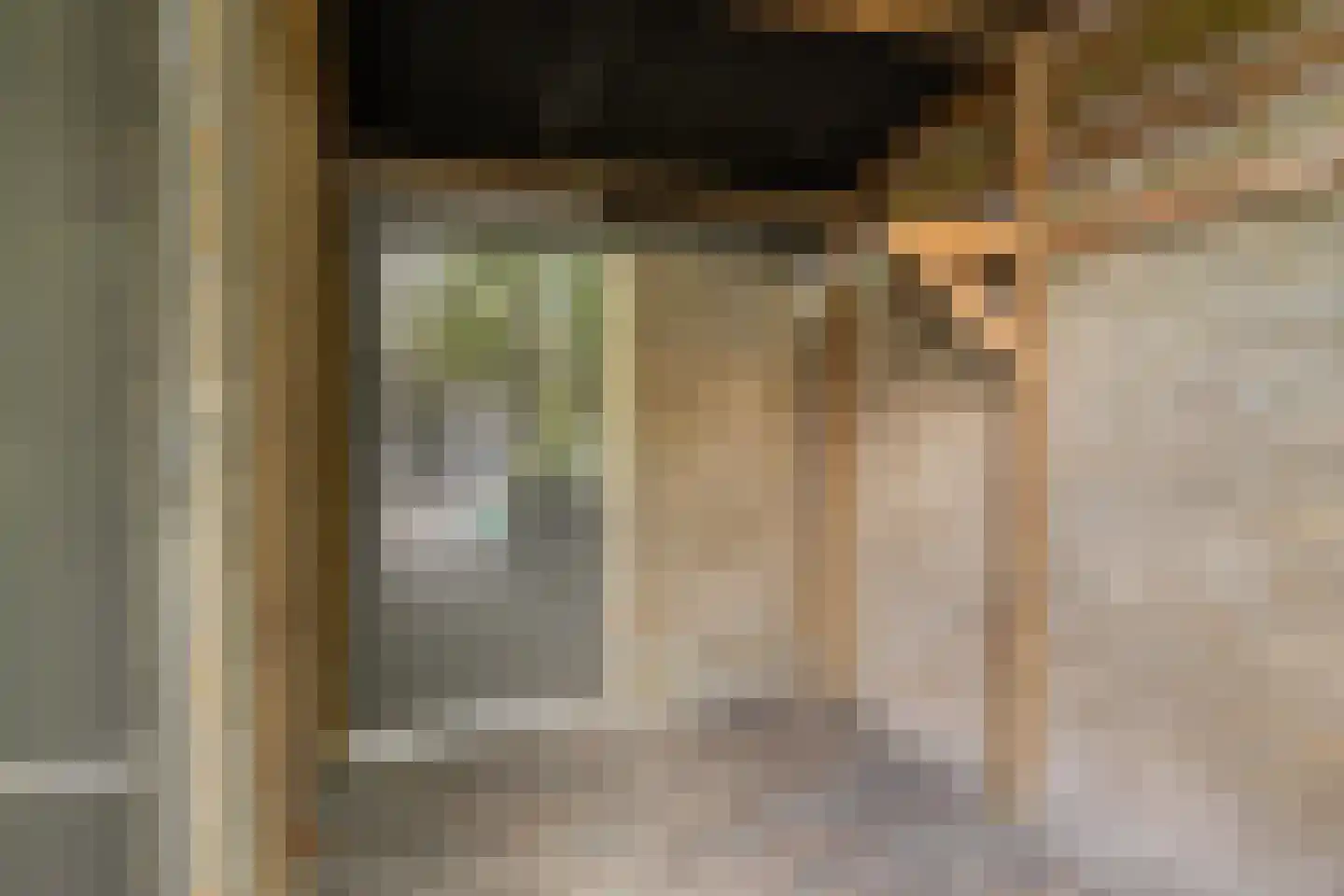 Ganzebloemstraat 23 Bergeijk thumbnail 20