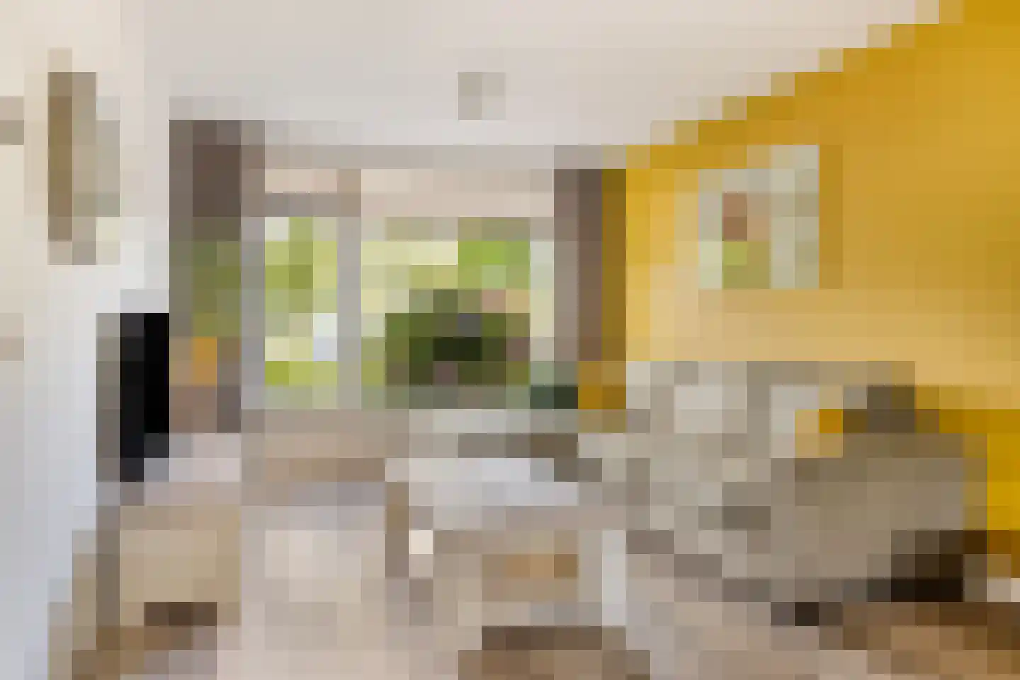 Ganzebloemstraat 23 Bergeijk thumbnail 4