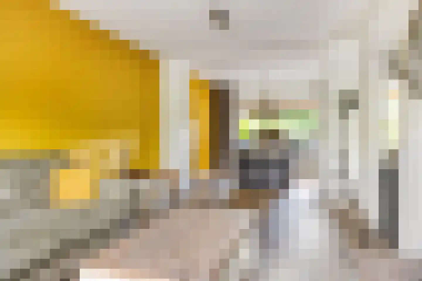 Ganzebloemstraat 23 Bergeijk thumbnail 5