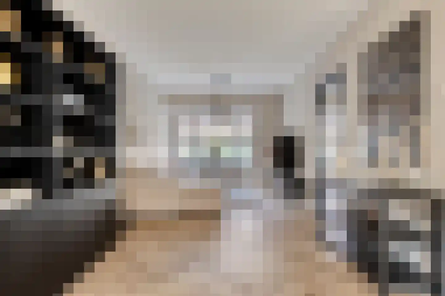 Ganzebloemstraat 23 Eindhoven thumbnail 12