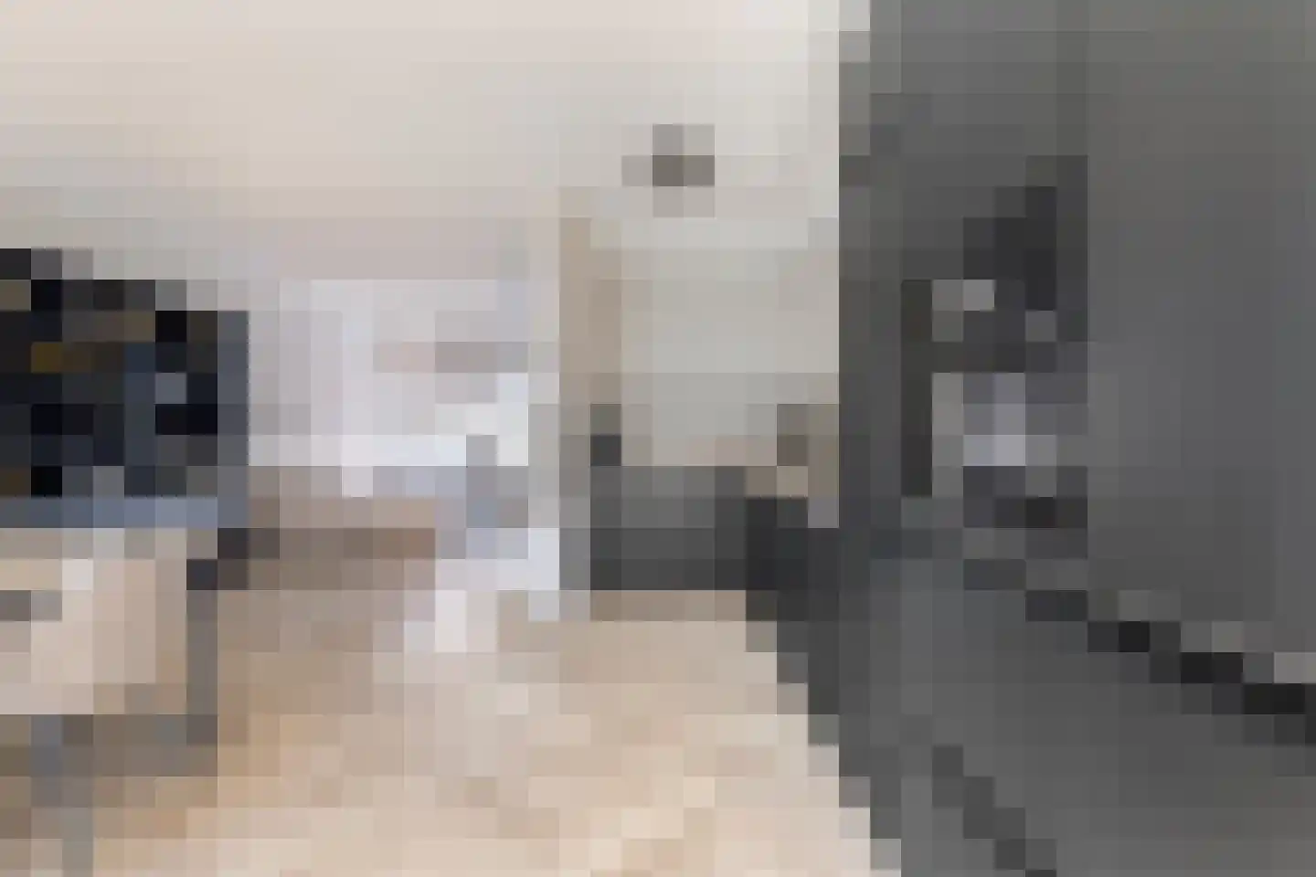 Ganzebloemstraat 23 Eindhoven thumbnail 19