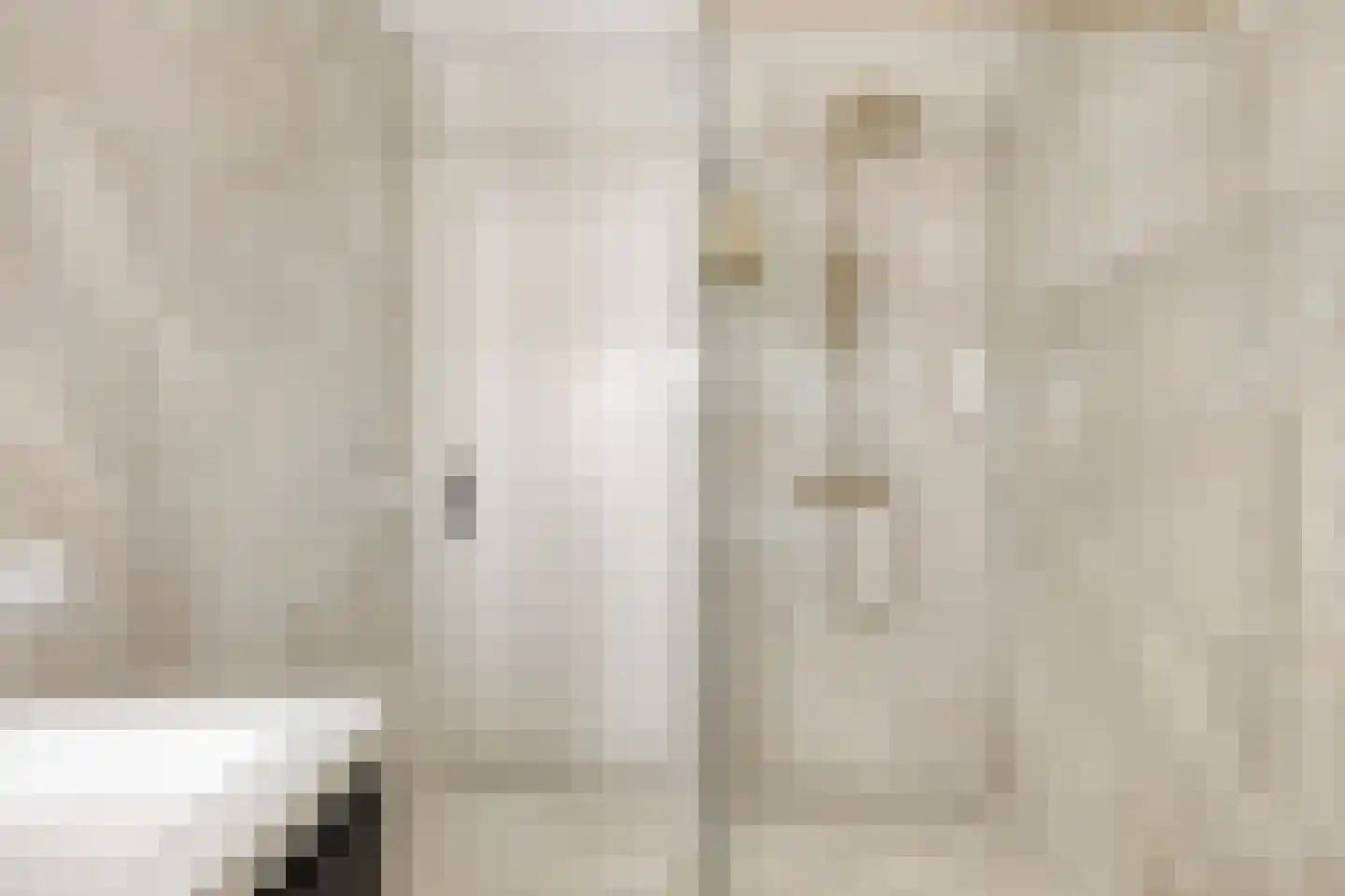 Ganzebloemstraat 23 Eindhoven thumbnail 25