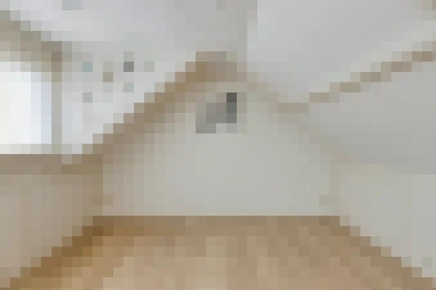 Ganzebloemstraat 23 Eindhoven thumbnail 28