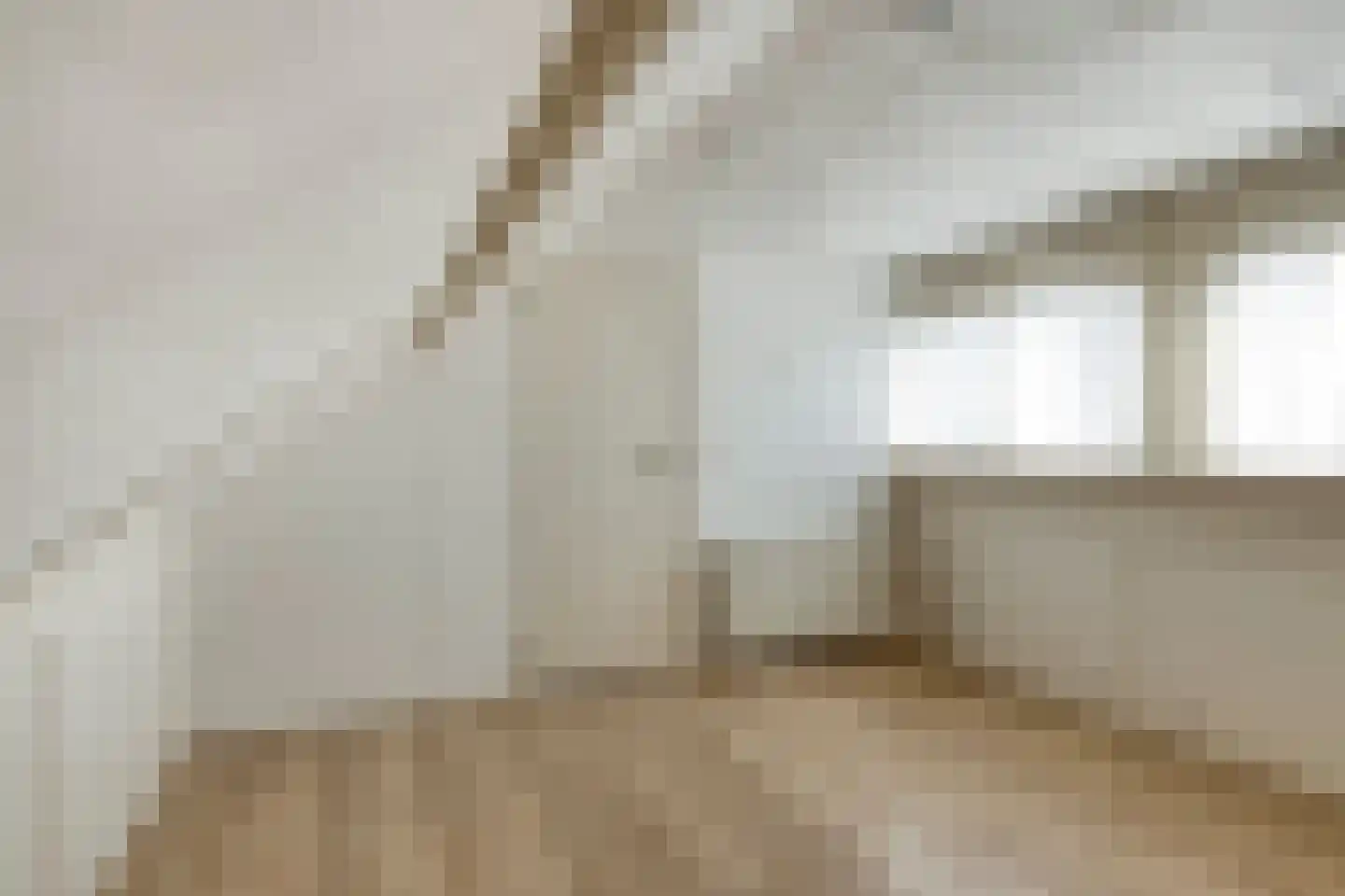 Ganzebloemstraat 23 Eindhoven thumbnail 29