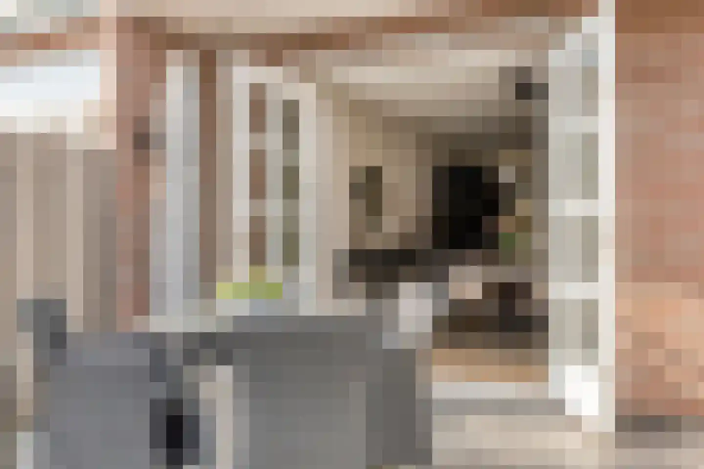 Ganzebloemstraat 23 Eindhoven thumbnail 32