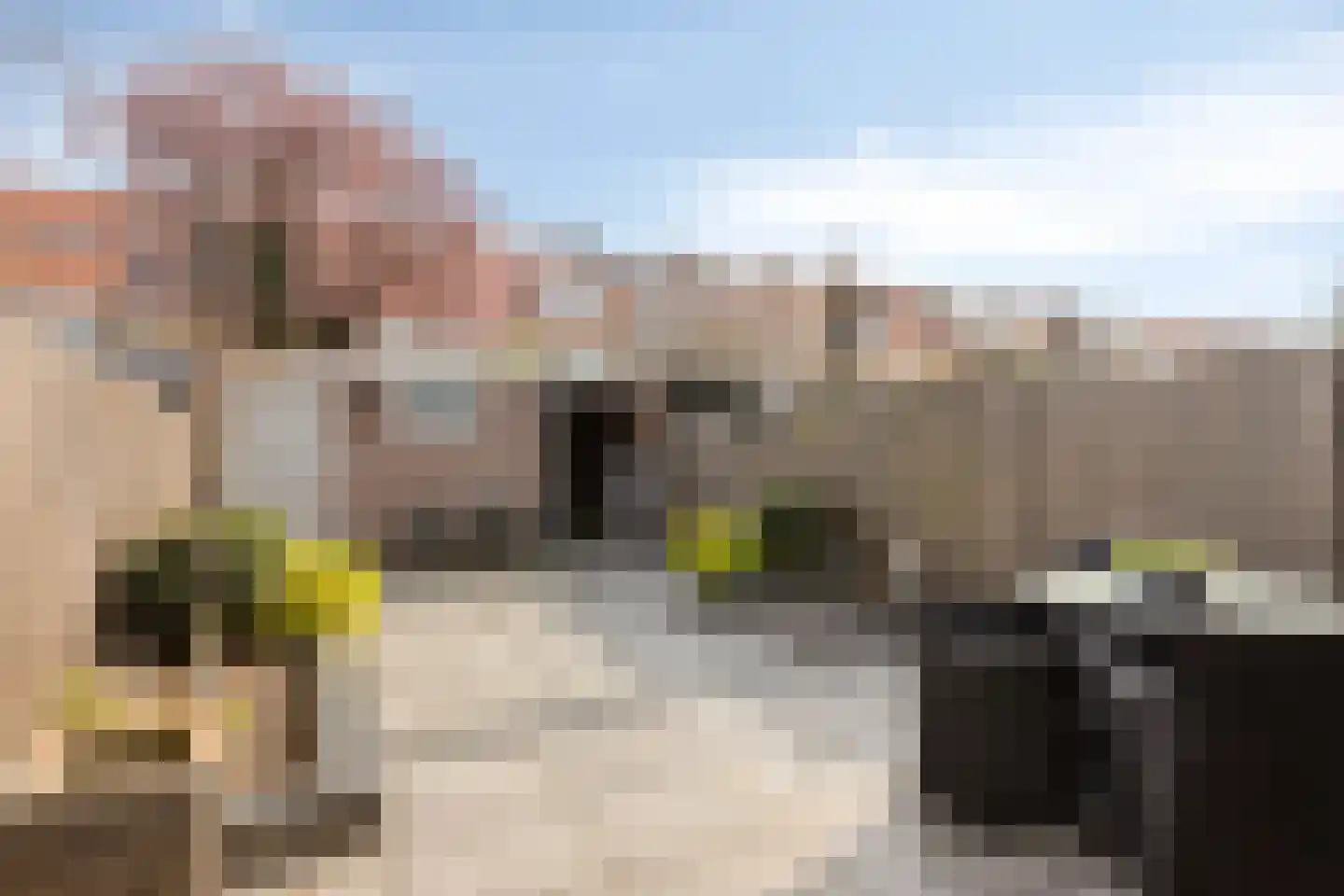 Ganzebloemstraat 23 Eindhoven thumbnail 33