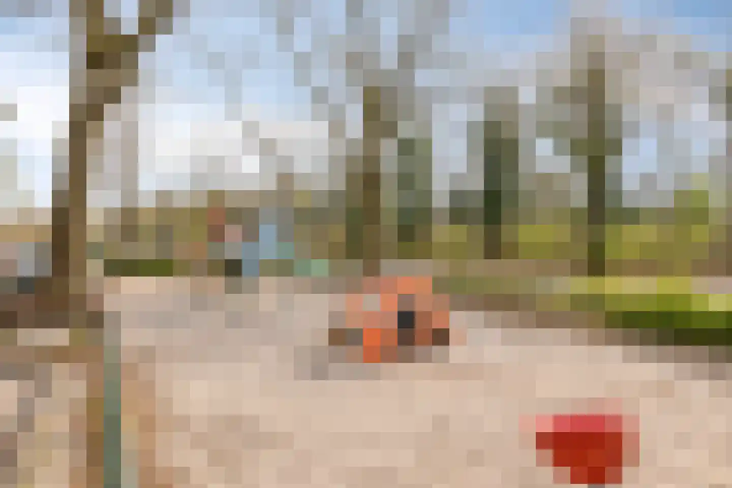 Ganzebloemstraat 23 Eindhoven thumbnail 38