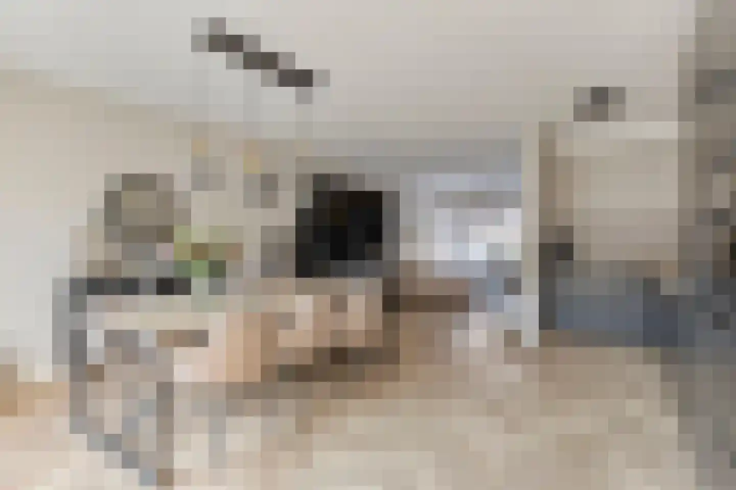 Ganzebloemstraat 23 Eindhoven thumbnail 4