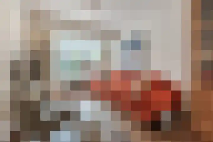 Ganzebloemstraat 26 Eindhoven thumbnail 10