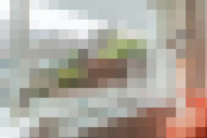Ganzebloemstraat 26 Eindhoven thumbnail 11