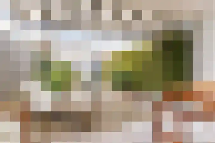 Ganzebloemstraat 26 Eindhoven thumbnail 20