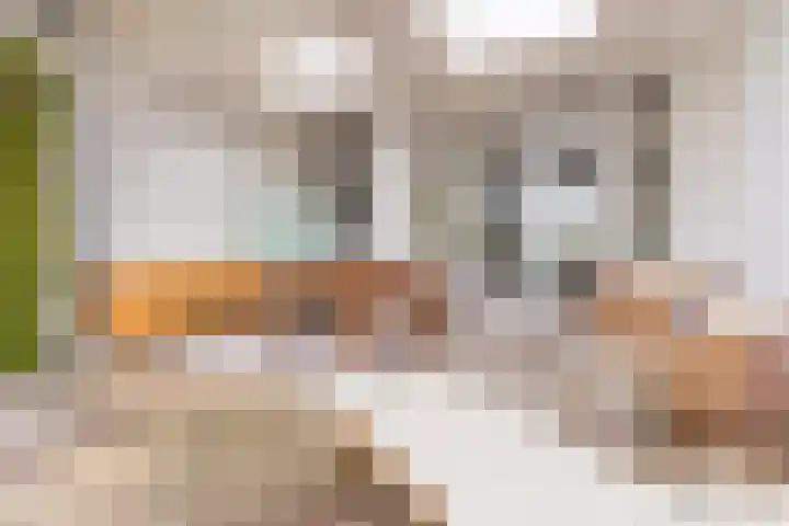 Ganzebloemstraat 26 Eindhoven thumbnail 21