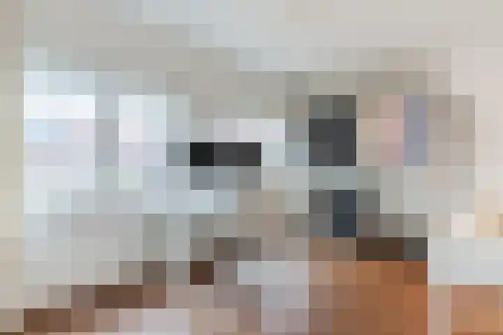Ganzebloemstraat 26 Eindhoven thumbnail 29