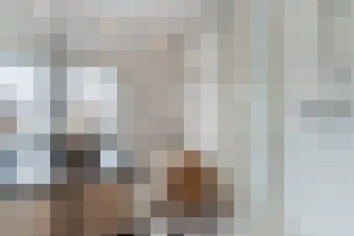 Ganzebloemstraat 26 Eindhoven thumbnail 33