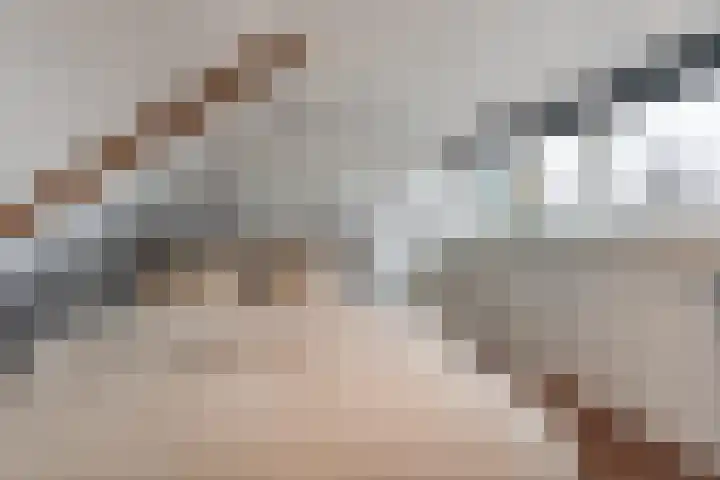 Ganzebloemstraat 26 Eindhoven thumbnail 43