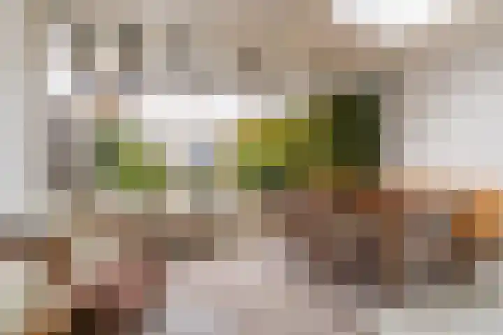 Ganzebloemstraat 26 Eindhoven thumbnail 47