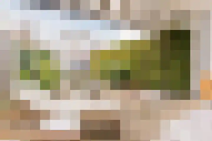 Ganzebloemstraat 26 Eindhoven thumbnail 48