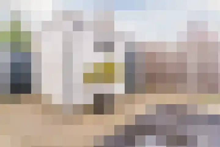 Ganzebloemstraat 26 Eindhoven thumbnail 53
