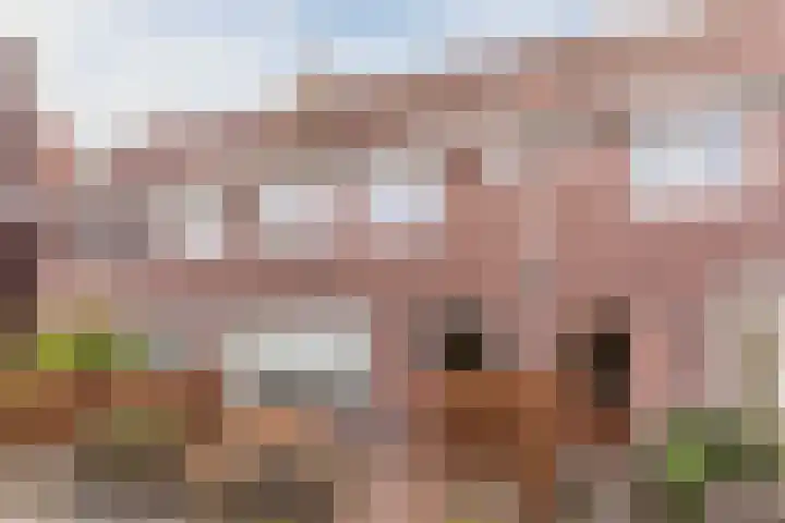 Ganzebloemstraat 26 Eindhoven thumbnail 57
