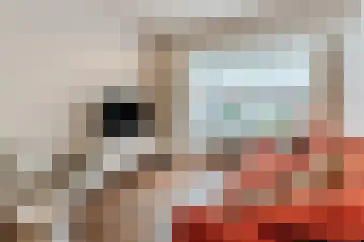 Ganzebloemstraat 26 Eindhoven thumbnail 6