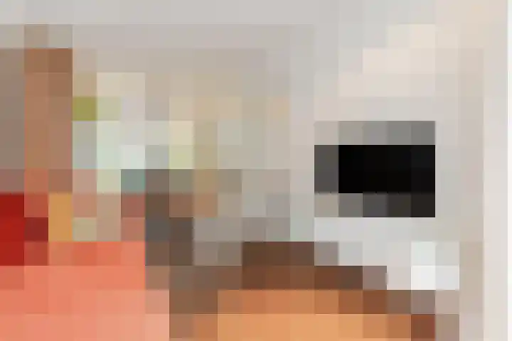 Ganzebloemstraat 26 Eindhoven thumbnail 7