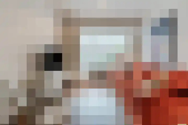 Ganzebloemstraat 26 Eindhoven thumbnail 9
