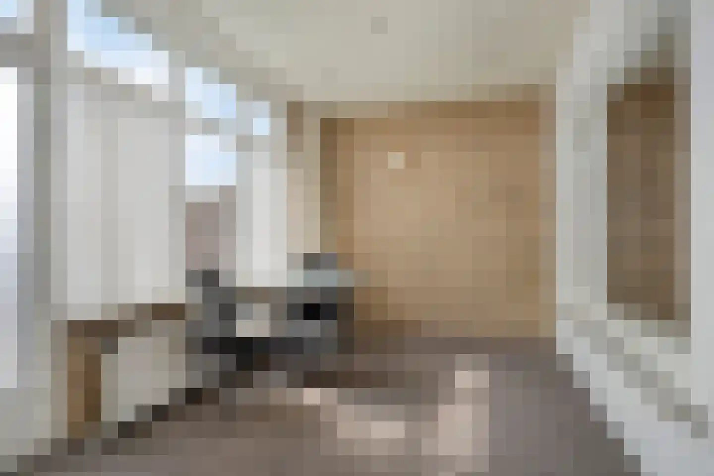 Ganzebloemstraat 3 Bergeijk thumbnail 10