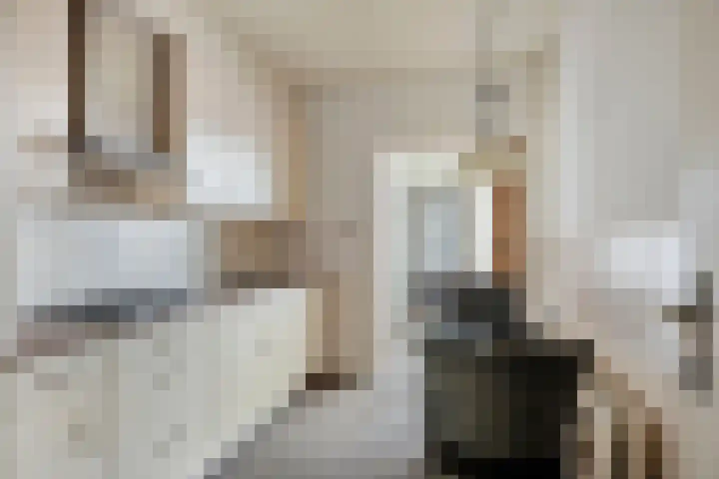 Ganzebloemstraat 3 Bergeijk thumbnail 11