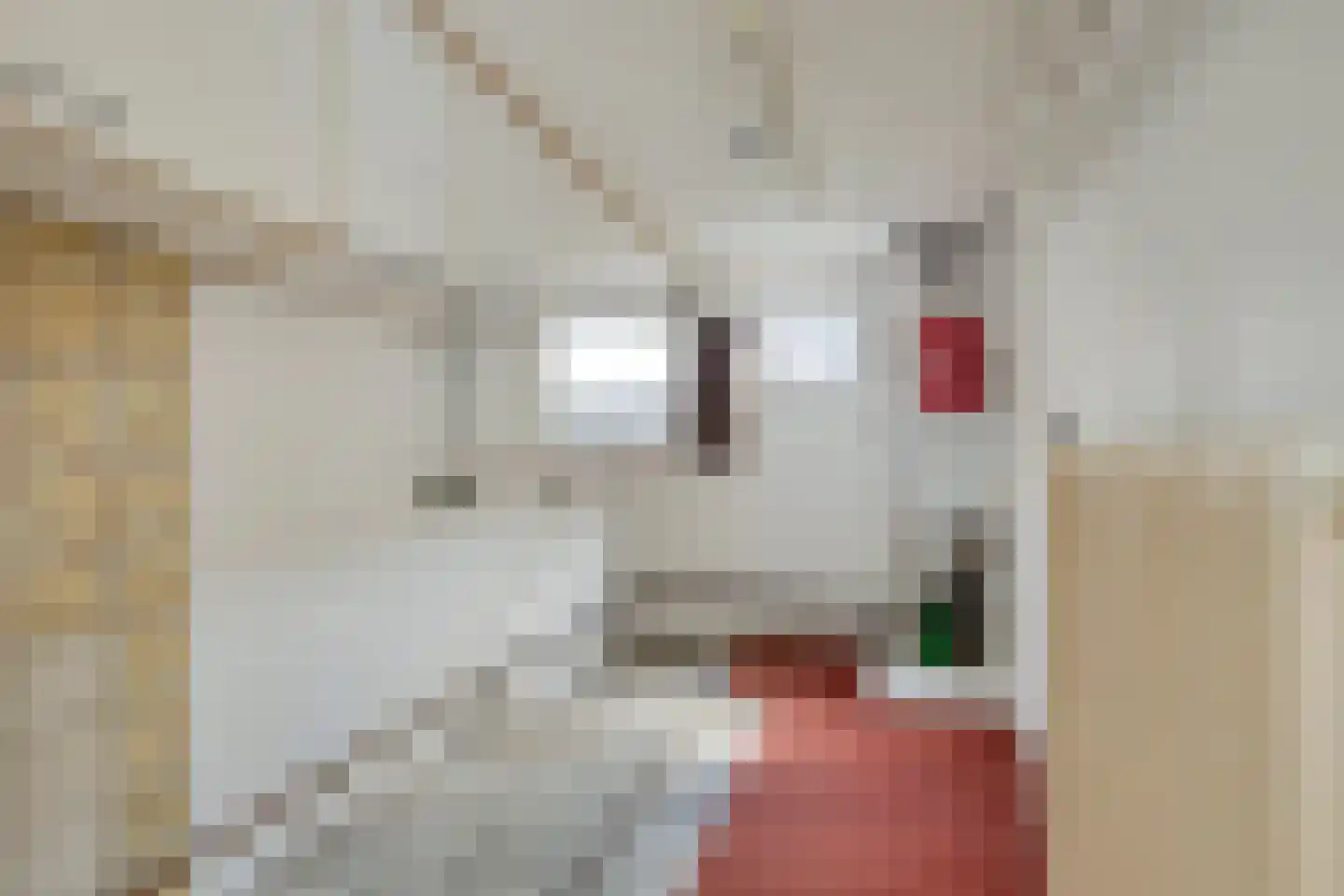Ganzebloemstraat 3 Bergeijk thumbnail 12
