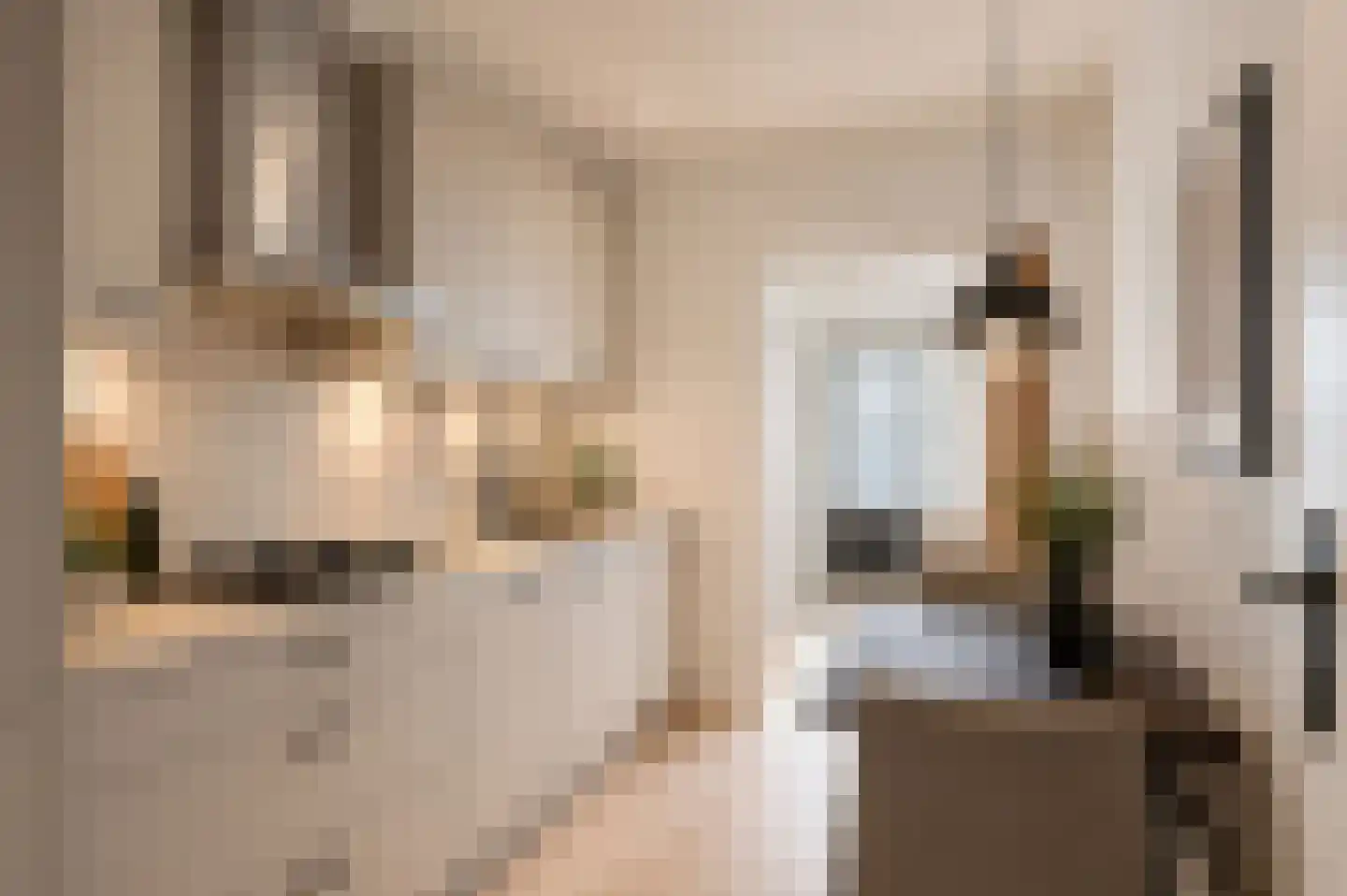 Ganzebloemstraat 3 Bergeijk thumbnail 12