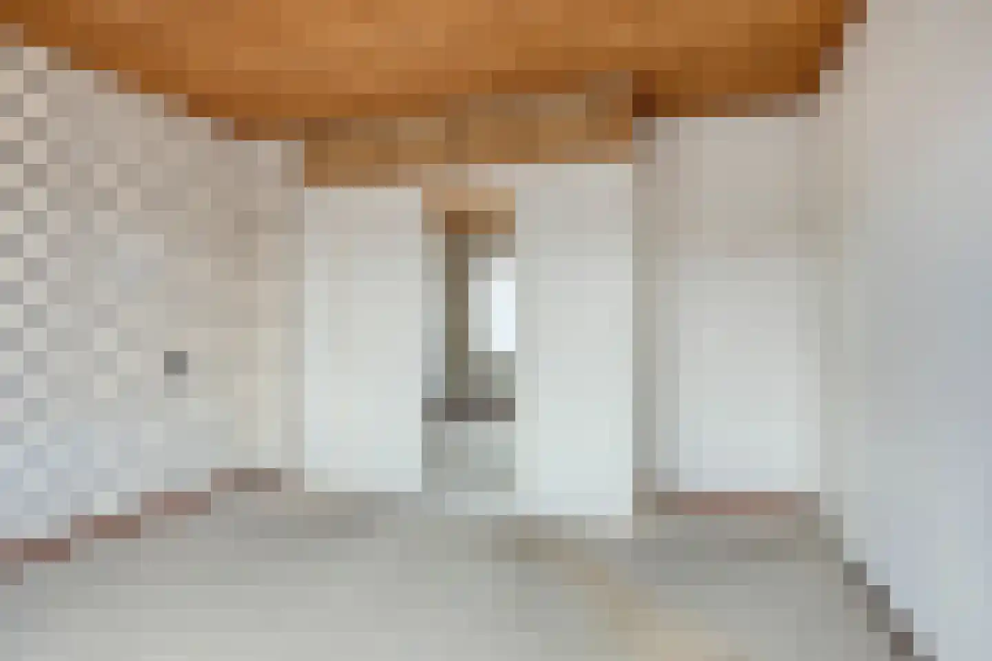 Ganzebloemstraat 3 Bergeijk thumbnail 14